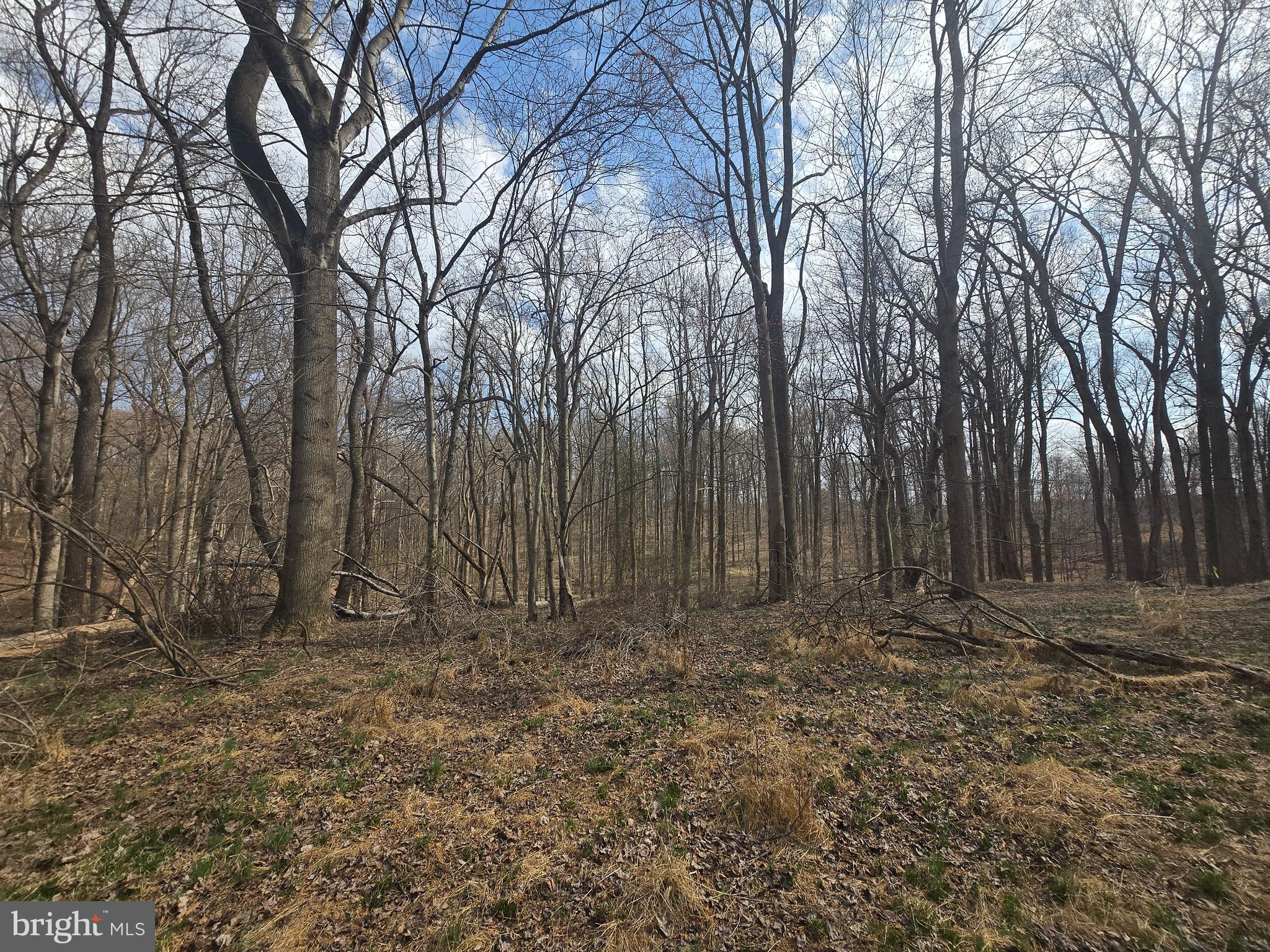 1156 Day Road Sykesville, MD 21784 - Photo 16 of 24 a view of outdoor space with trees