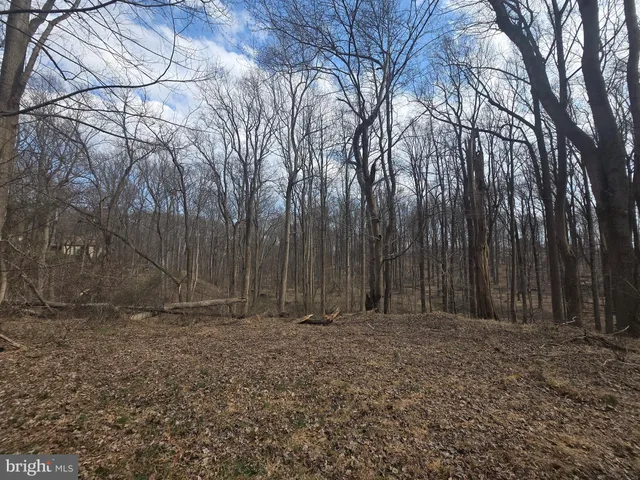 a view of a backyard with trees