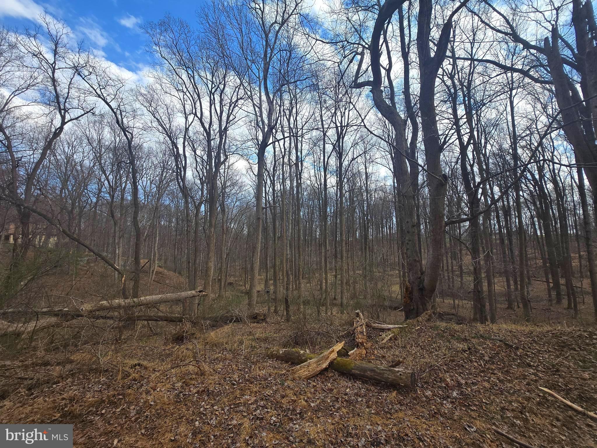 1156 Day Road Sykesville, MD 21784 - Photo 2 of 24 a backyard of a house with lots of green space