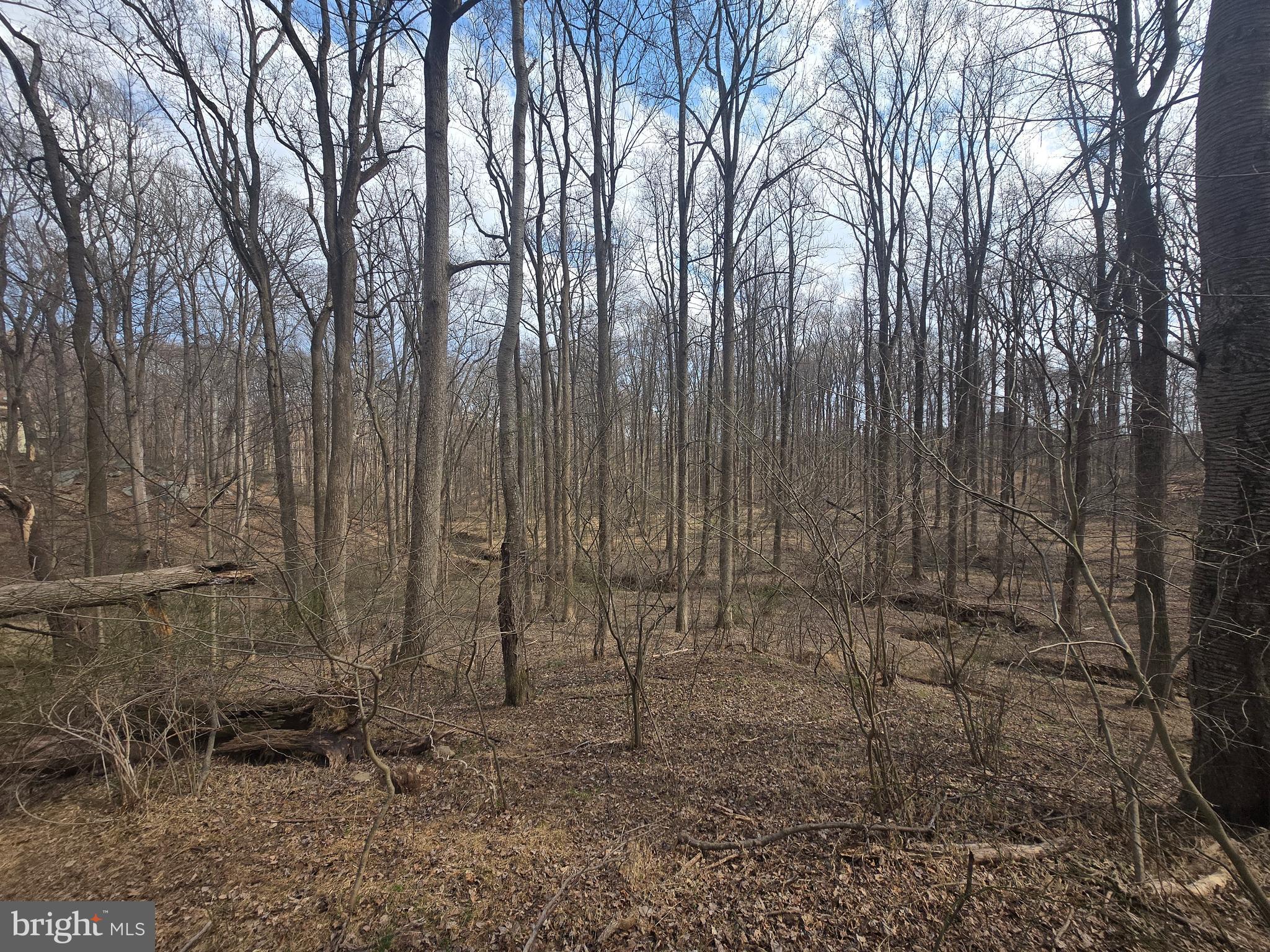 1156 Day Road Sykesville, MD 21784 - Photo 21 of 24 a view of a backyard with trees
