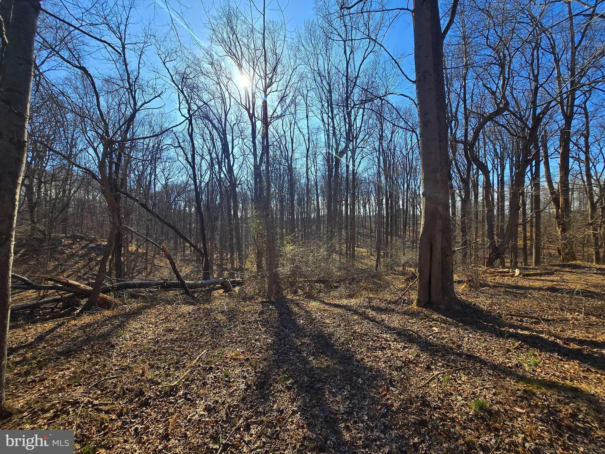 1156 Day Road Sykesville, MD 21784 - Photo 5 of 24 a backyard of a house with lots of green space