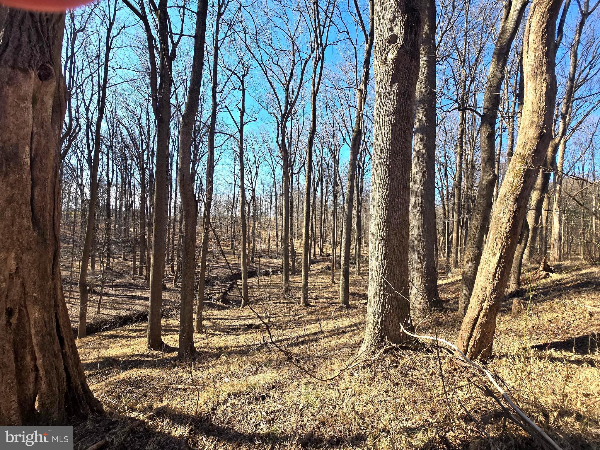 1156 Day Road Sykesville, MD 21784 - Photo 6 of 24 a backyard of a house with lots of green space