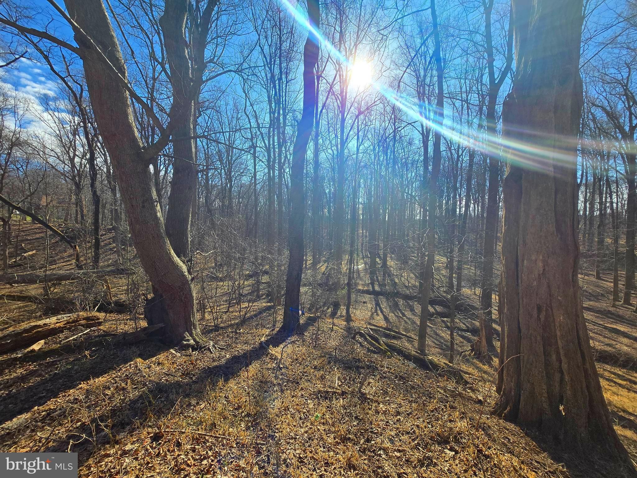 1156 Day Road Sykesville, MD 21784 - Photo 7 of 24 a backyard of a house with lots of green space