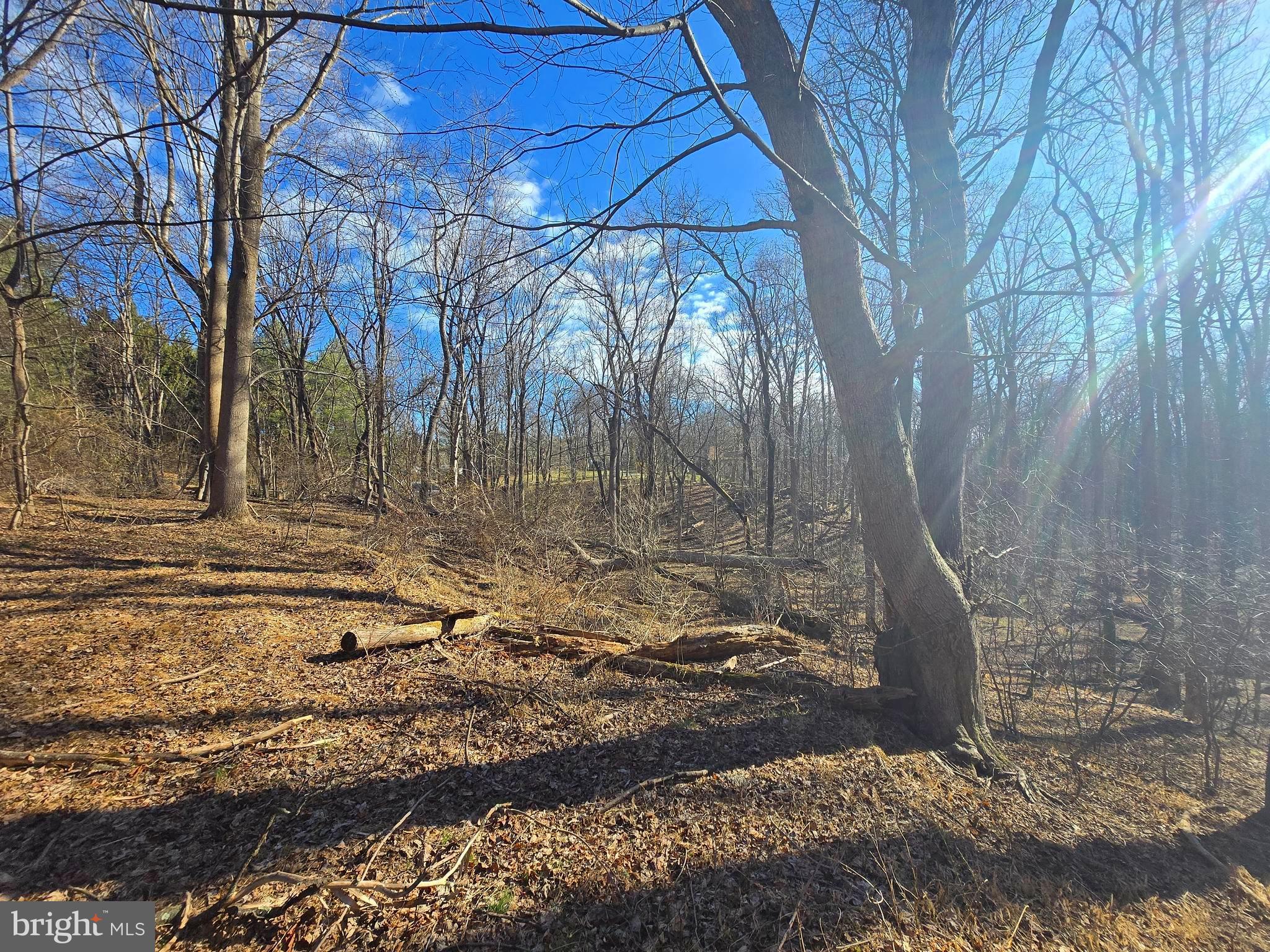 1156 Day Road Sykesville, MD 21784 - Photo 8 of 24