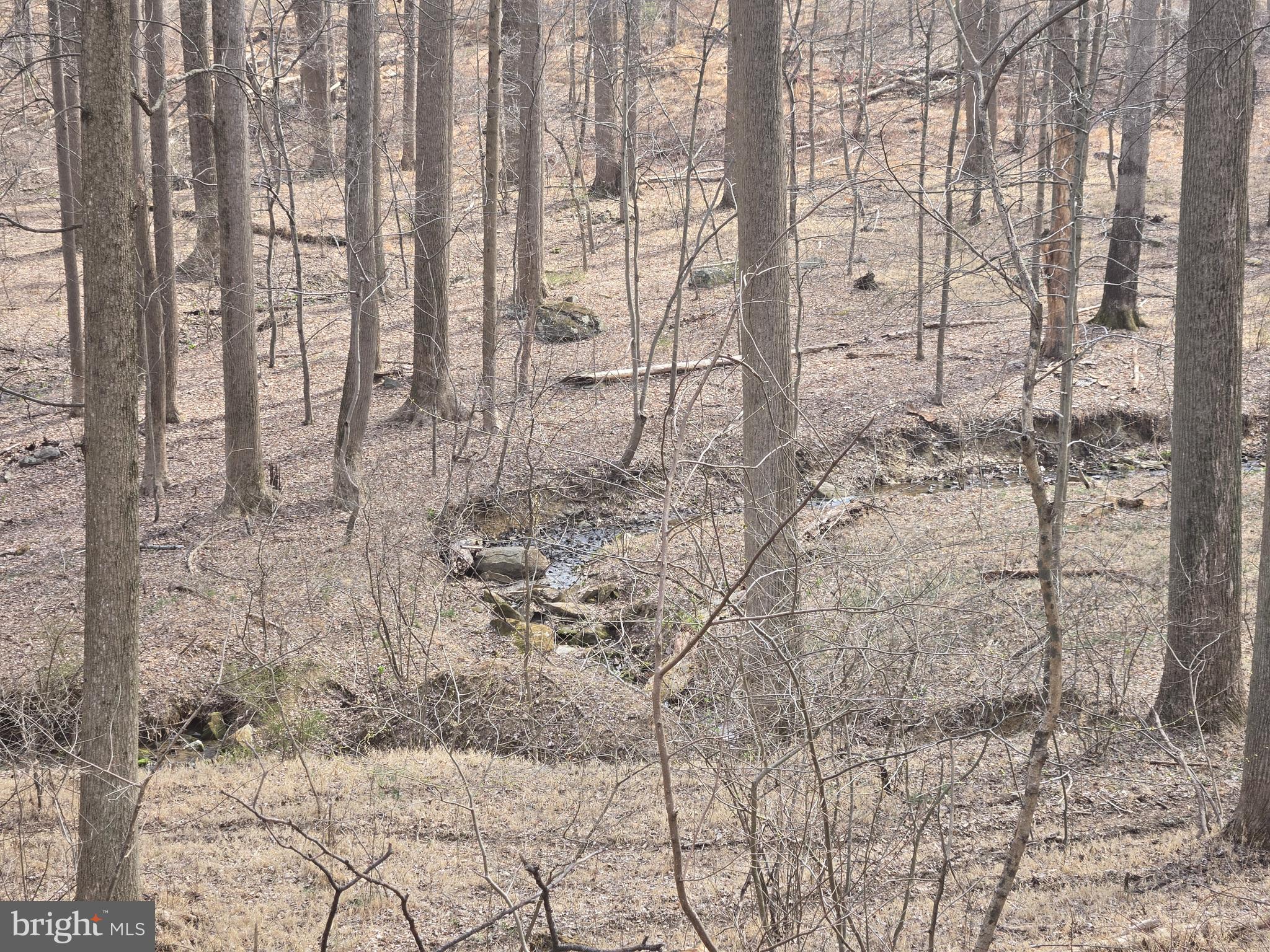 1156 Day Road Sykesville, MD 21784 - Photo 9 of 24