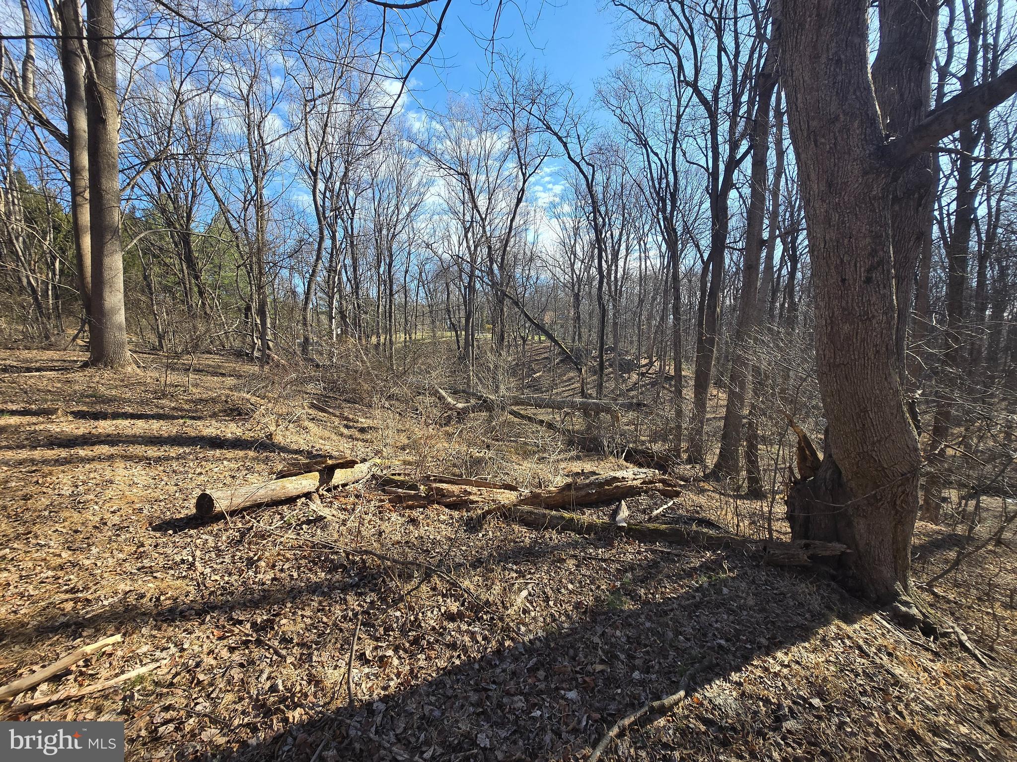 1156 Day Road Sykesville, MD 21784 - Photo 10 of 24 a backyard of a house with lots of green space