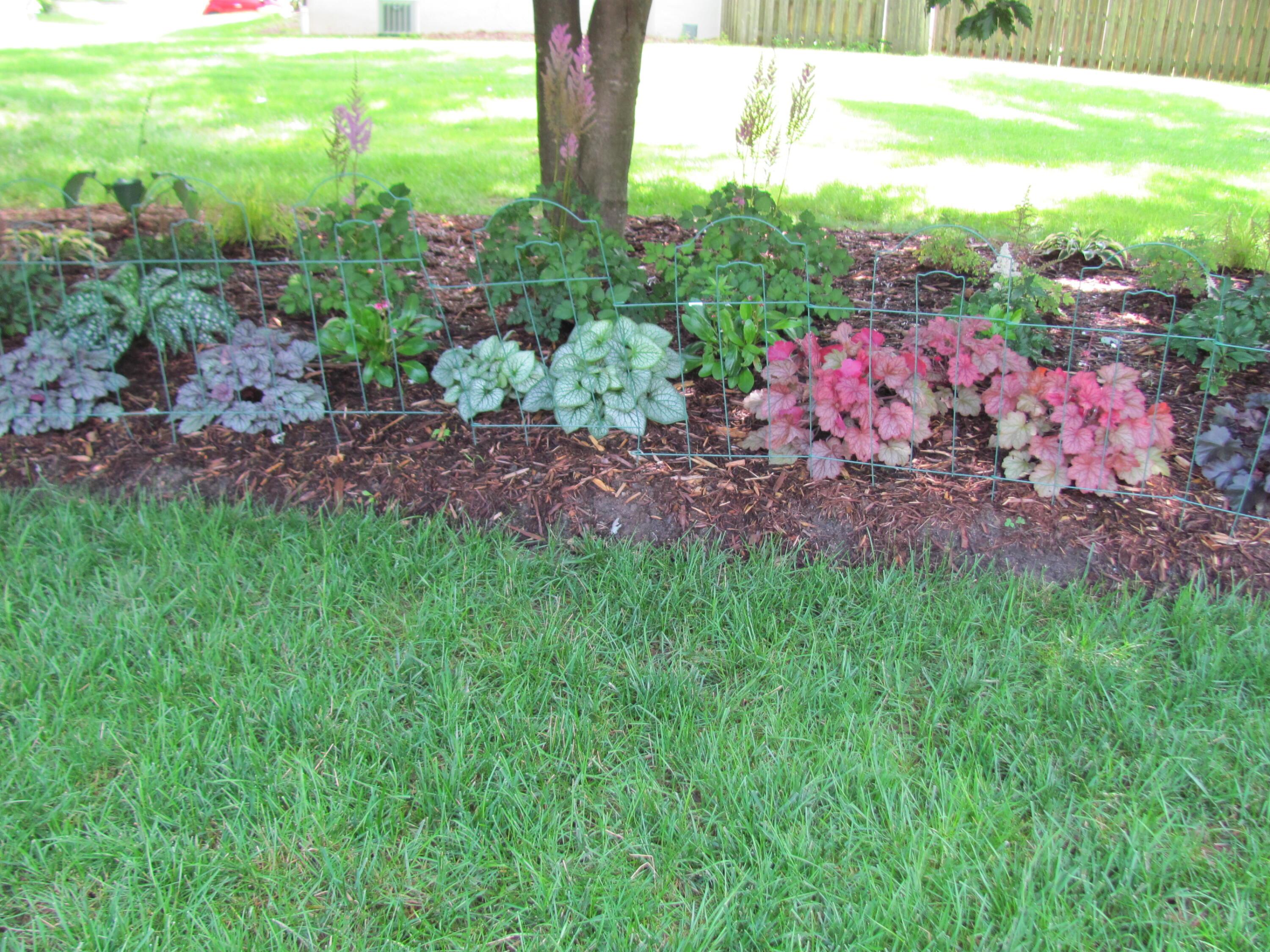7918 Sethwick Road Dublin, OH 43016 - Photo 20 of 20 14 Perennial Bed