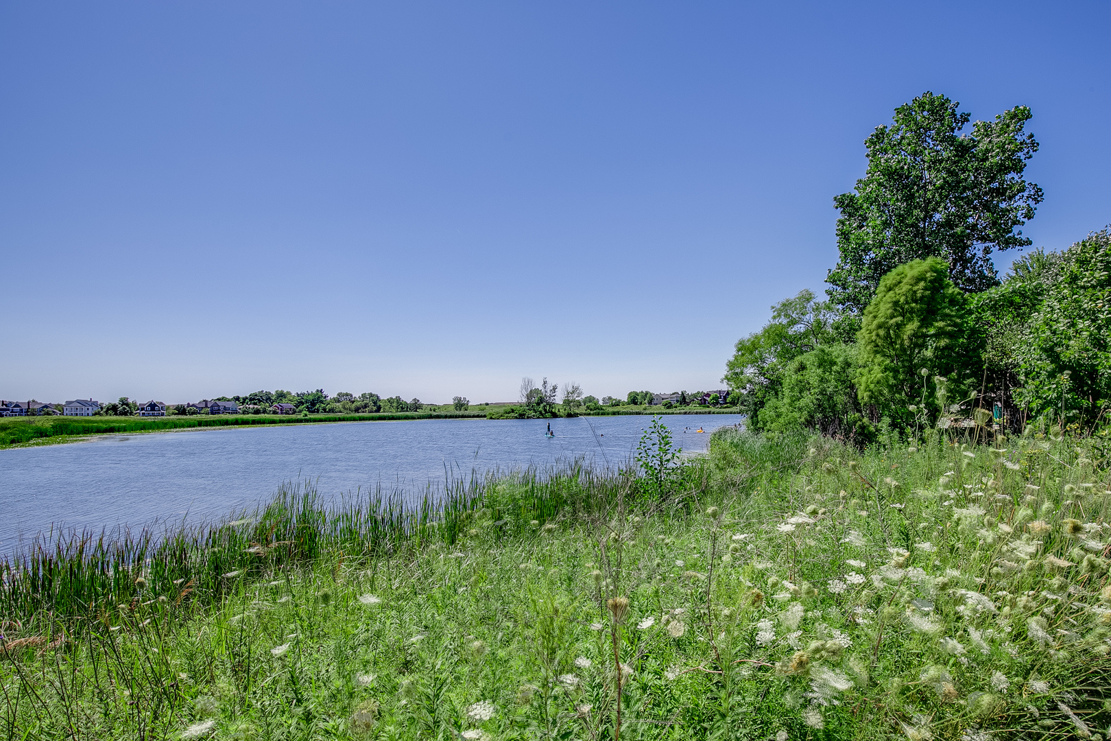 1024 Harris Road Grayslake, IL 60030 - Photo 55 of 68 a view of outdoor space and yard