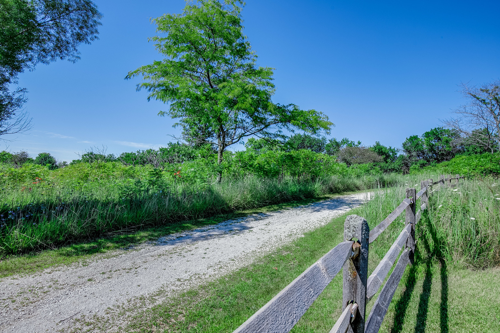 1024 Harris Road Grayslake, IL 60030 - Photo 68 of 68 a view of a yard with plants and a tree