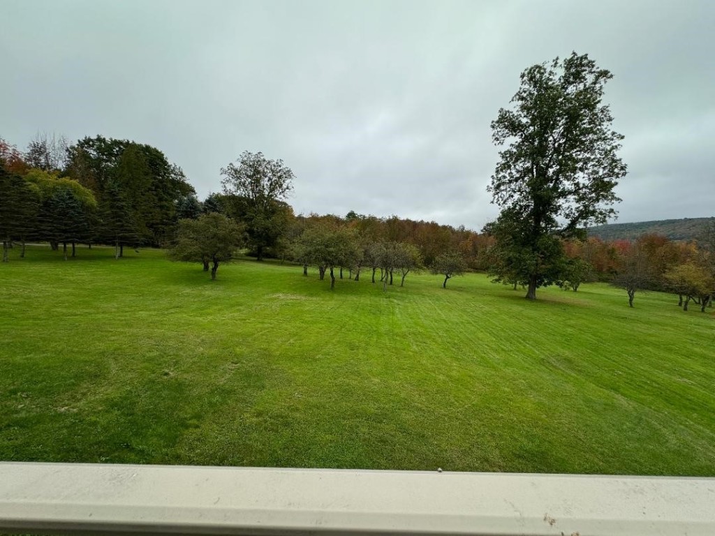 285 Stannard Road Windsor, NY 13865 - Photo 11 of 50