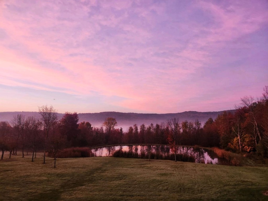 285 Stannard Road Windsor, NY 13865 - Photo 5 of 50