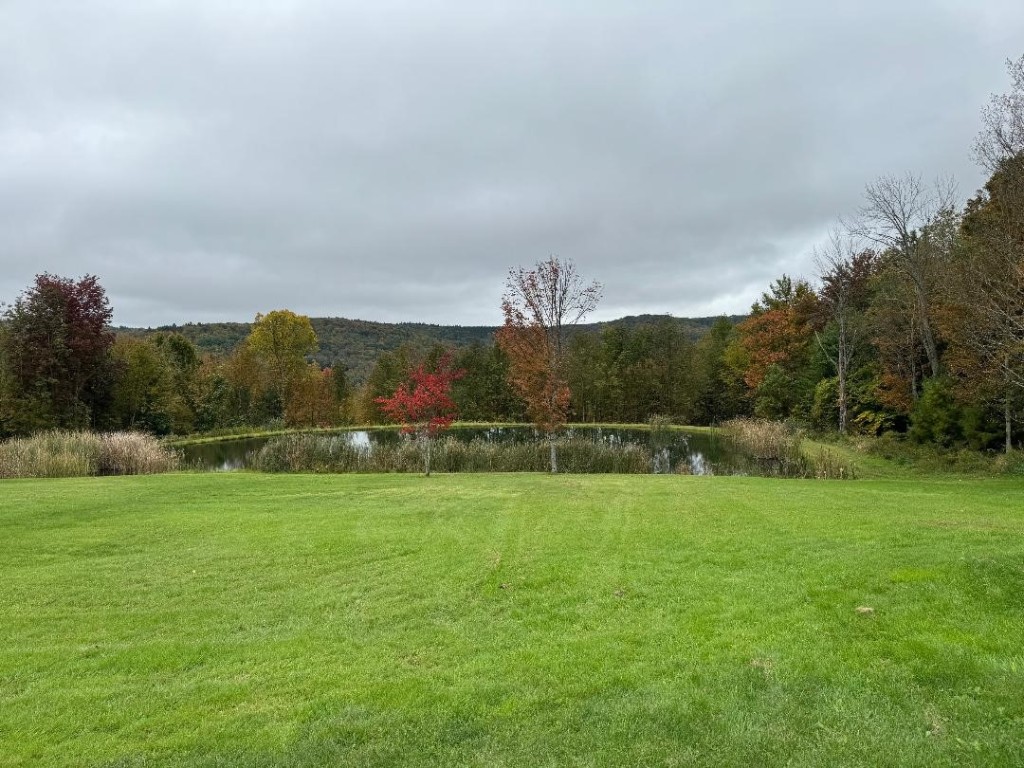 285 Stannard Road Windsor, NY 13865 - Photo 6 of 50