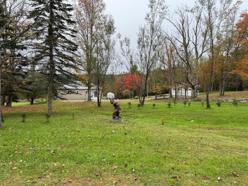 285 Stannard Road Windsor, NY 13865 - Photo 7 of 50