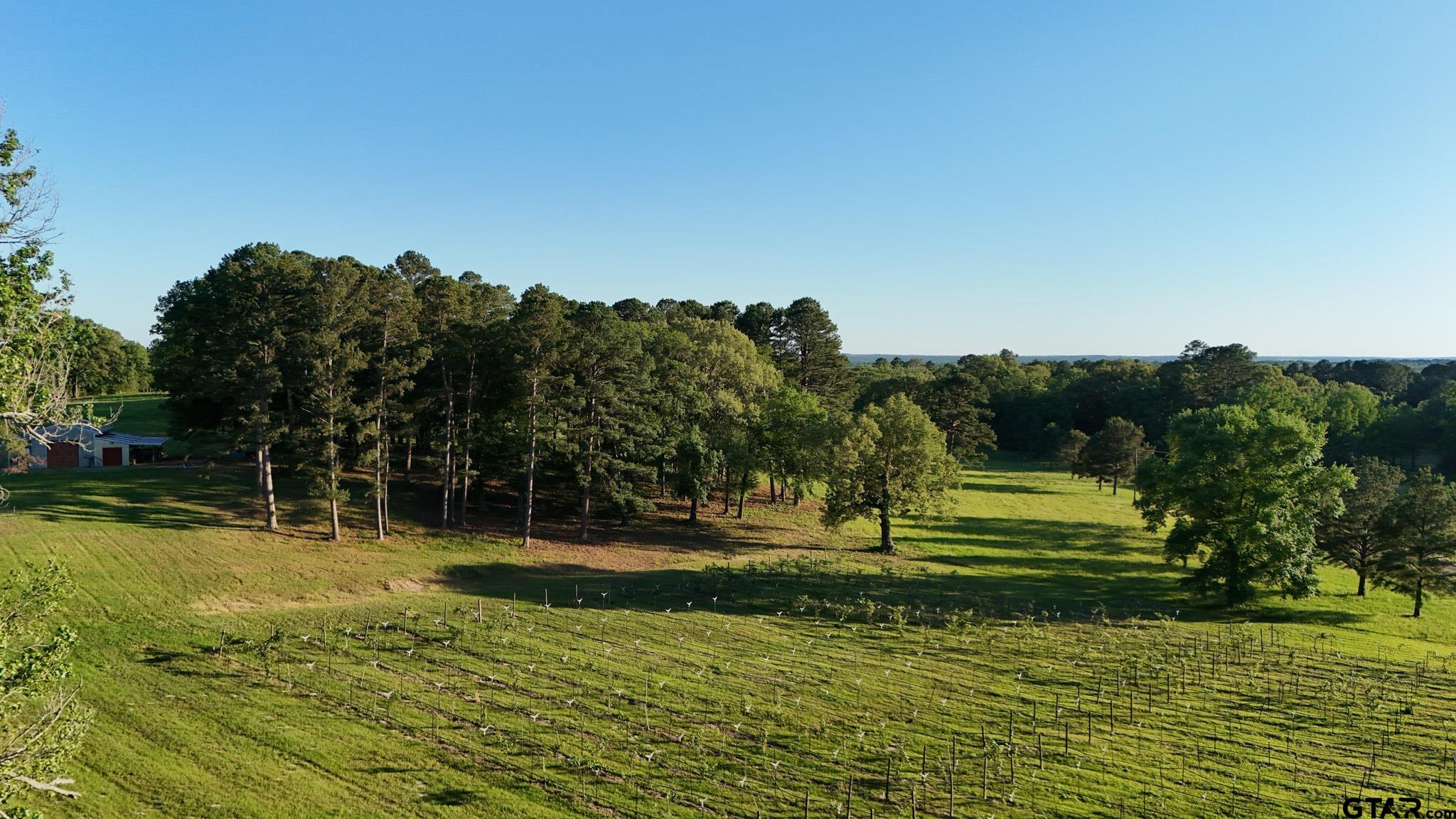 0 County Road 2680 Hawkins, TX 75765 - Photo 33 of 38