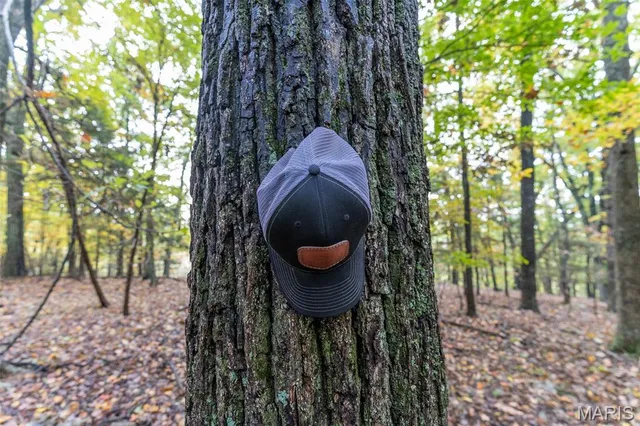 $835,000 | 0 County Road 20A, Belleview, MO 63623