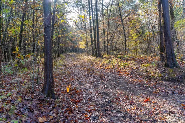 $835,000 | 0 County Road 20A, Belleview, MO 63623