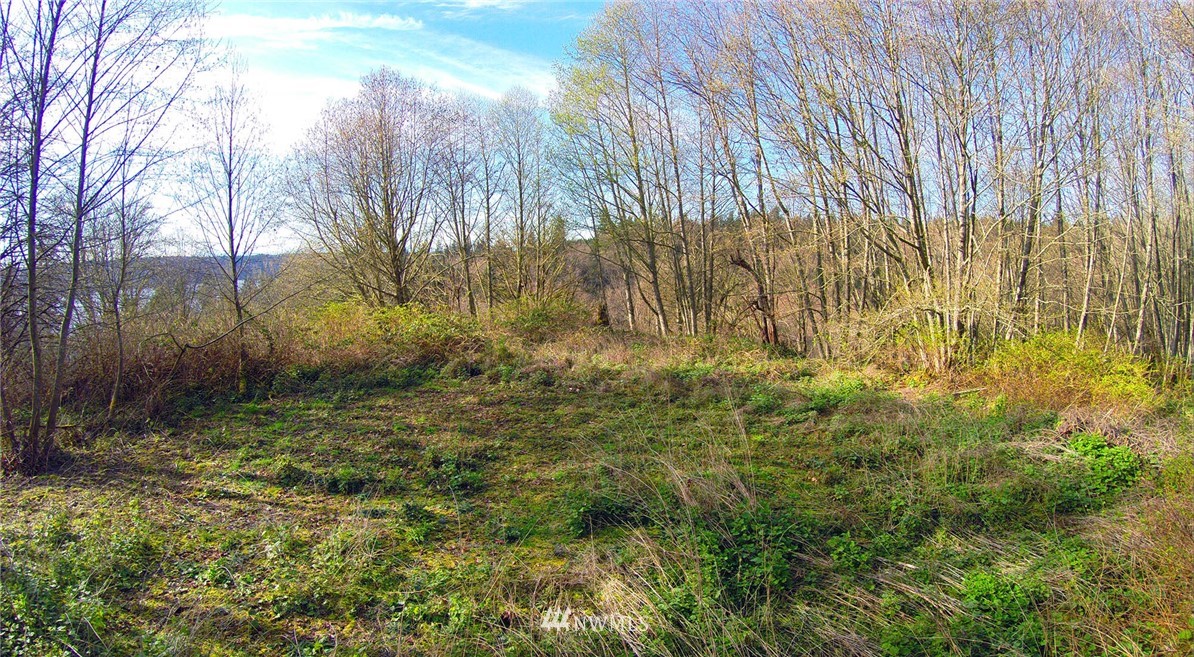13916 Southwest Caster Road Vashon, WA 98070 - Photo 1 of 14 Gallery Image 1