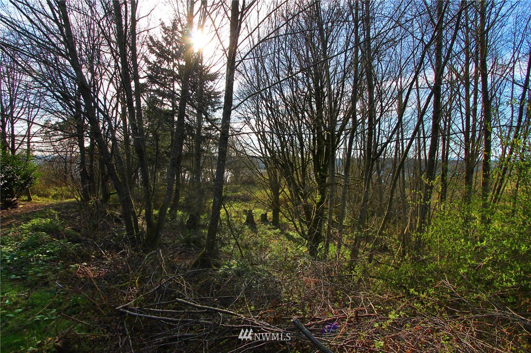 13916 Southwest Caster Road Vashon, WA 98070 - Photo 8 of 14 Gallery Image 8