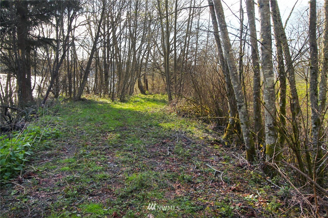 13916 Southwest Caster Road Vashon, WA 98070 - Photo 10 of 14 Gallery Image 10