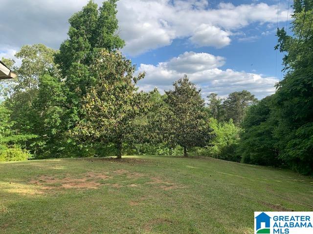 3335 Hilltop Road Southeast Bessemer, AL 35022 - Photo 3 of 7