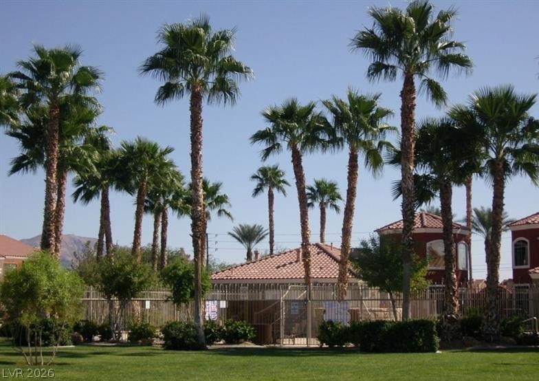4730 East Craig Road, Unit 2102 Las Vegas, NV 89115 - Photo 4 of 13 Lush green grass and towering palm trees frame a tranquil outdoor community area.