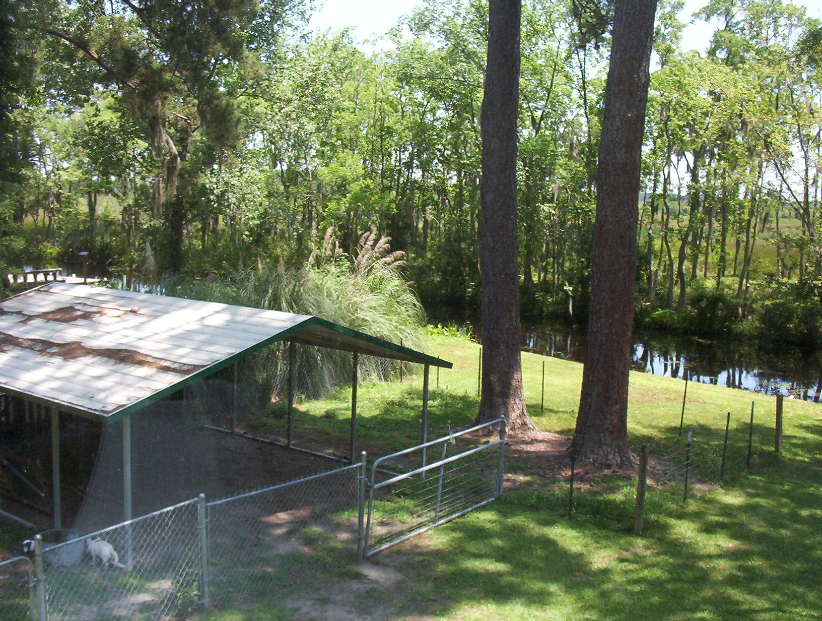 113 Wee Hope Loop Walterboro, SC 29488 - Photo 23 of 30 100_1577