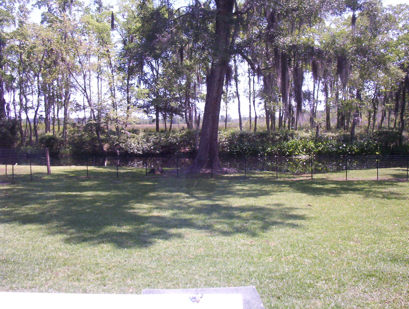 113 Wee Hope Loop Walterboro, SC 29488 - Photo 24 of 30 100_1568