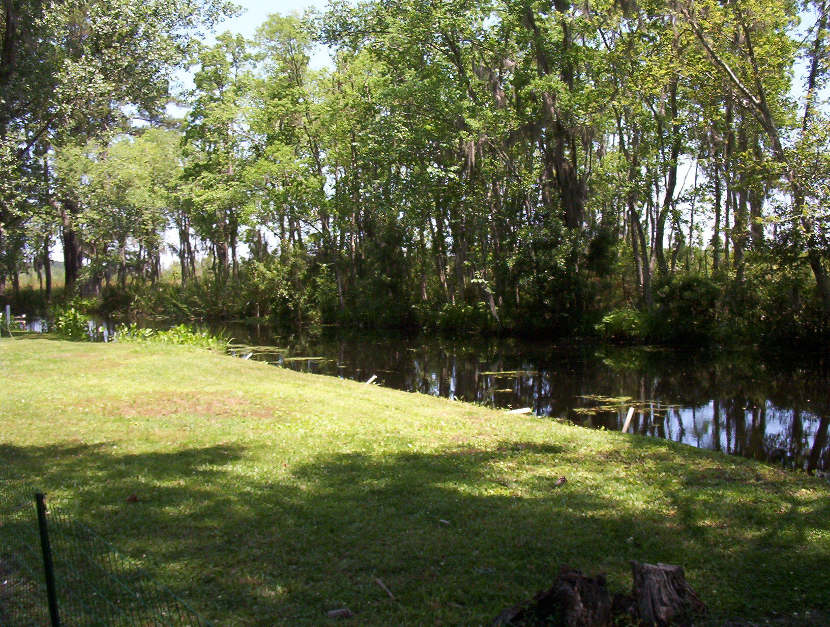 113 Wee Hope Loop Walterboro, SC 29488 - Photo 26 of 30 100_1580