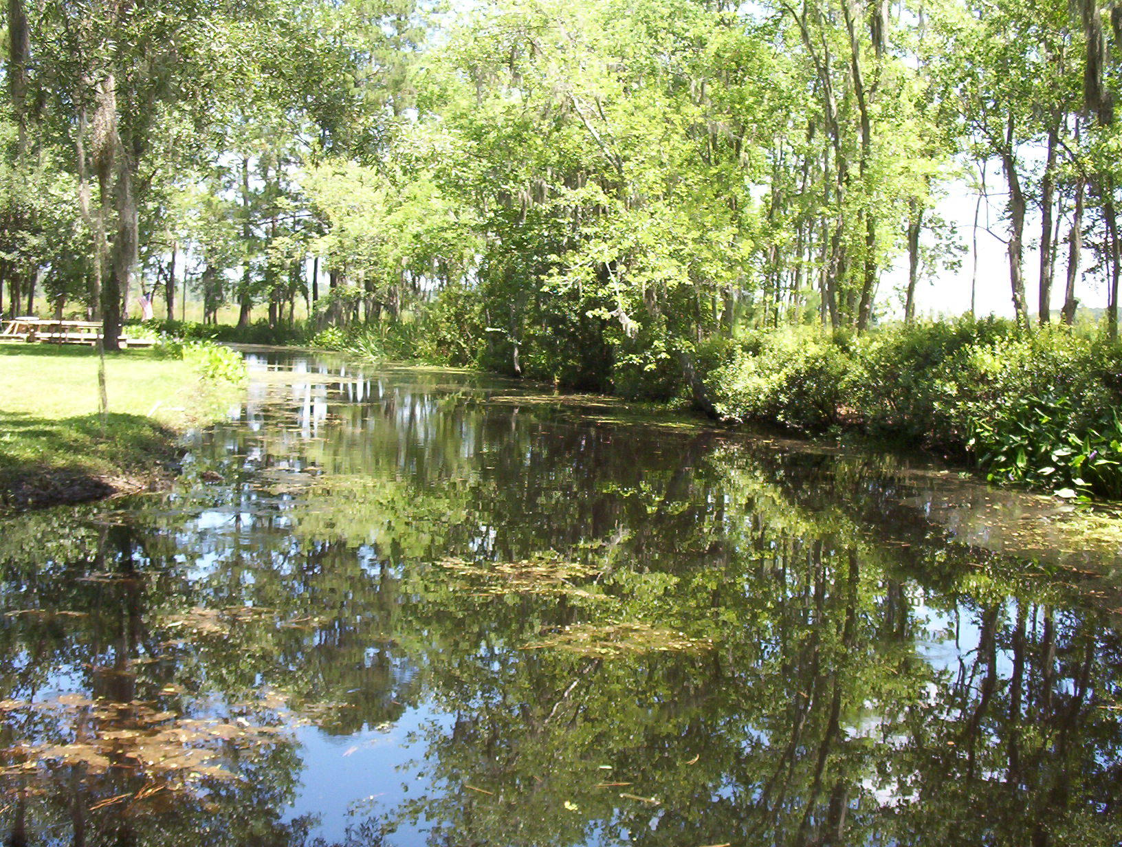 113 Wee Hope Loop Walterboro, SC 29488 - Photo 28 of 30 100_1591