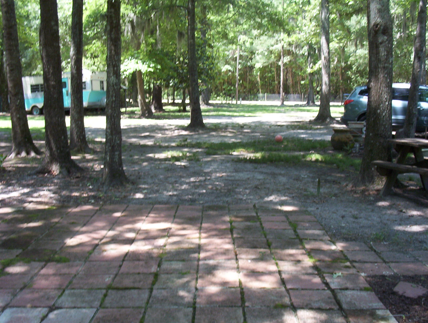 113 Wee Hope Loop Walterboro, SC 29488 - Photo 7 of 30 100_1552