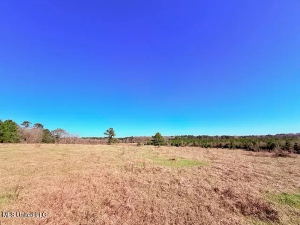$289,000 | John Smith Rd Mount, Mount Hermon, LA 70450