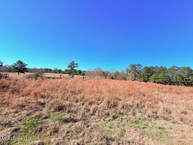 John Smith Rd Mount Mount Hermon, LA 70450 - Photo 11 of 36 IMG_2340