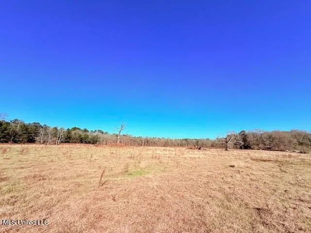 $289,000 | John Smith Rd Mount, Mount Hermon, LA 70450