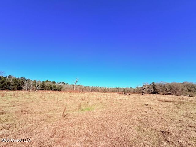John Smith Rd Mount Mount Hermon, LA 70450 - Photo 12 of 36 IMG_2341