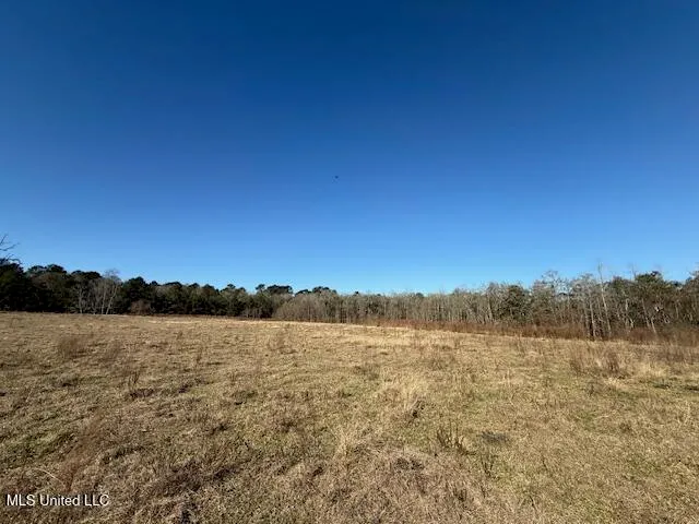 $289,000 | John Smith Rd Mount, Mount Hermon, LA 70450