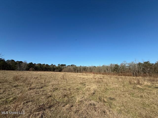 John Smith Rd Mount Mount Hermon, LA 70450 - Photo 13 of 36 IMG_2342