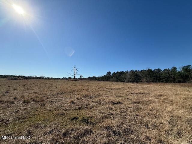 John Smith Rd Mount Mount Hermon, LA 70450 - Photo 15 of 36 IMG_2346