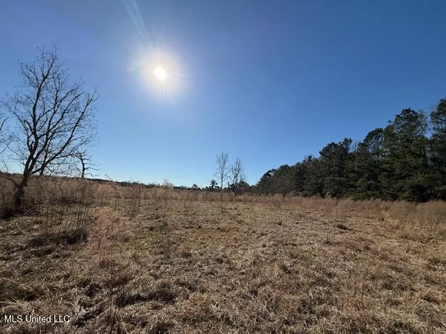 $289,000 | John Smith Rd Mount, Mount Hermon, LA 70450