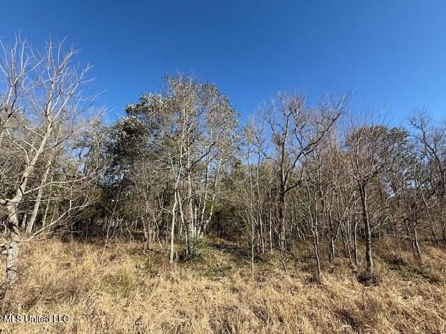 John Smith Rd Mount Mount Hermon, LA 70450 - Photo 17 of 36 IMG_2348