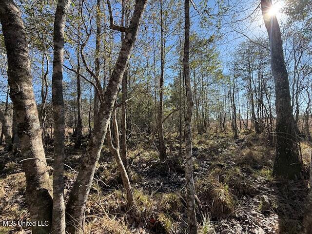 John Smith Rd Mount Mount Hermon, LA 70450 - Photo 19 of 36 IMG_2350