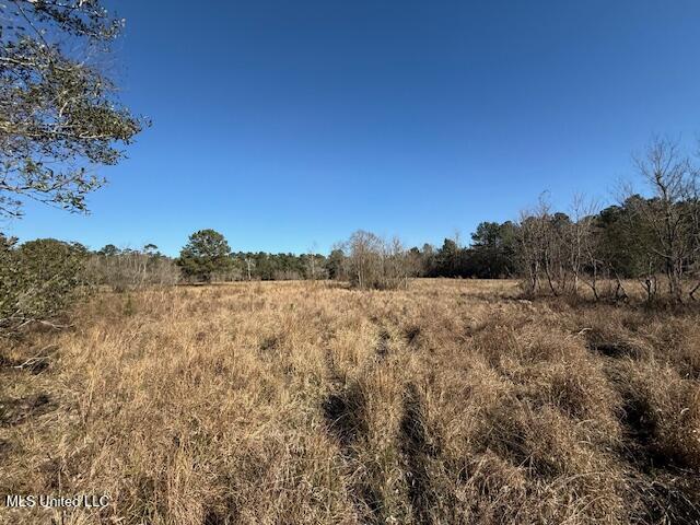 John Smith Rd Mount Mount Hermon, LA 70450 - Photo 20 of 36 IMG_2351