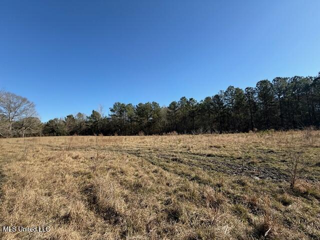 John Smith Rd Mount Mount Hermon, LA 70450 - Photo 22 of 36 IMG_2353