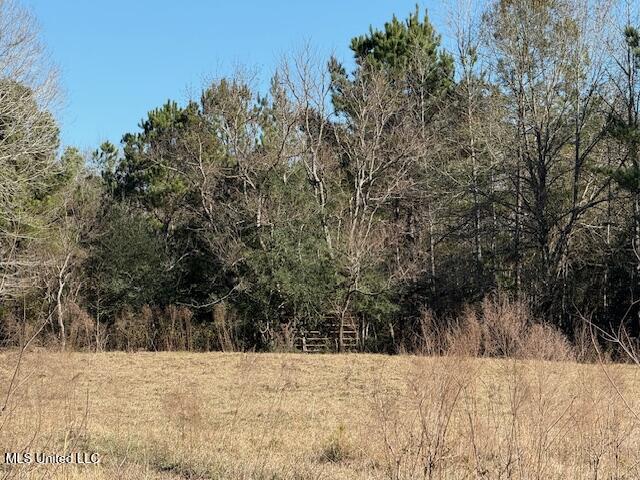 John Smith Rd Mount Mount Hermon, LA 70450 - Photo 23 of 36 IMG_2354