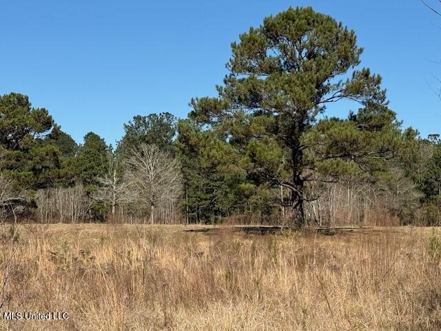 John Smith Rd Mount Mount Hermon, LA 70450 - Photo 24 of 36 IMG_2355