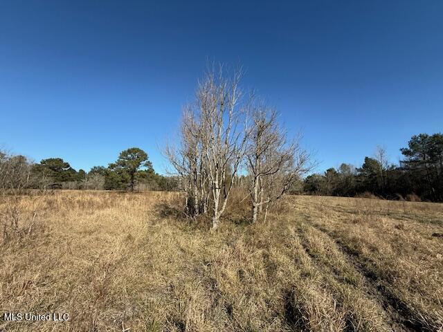 John Smith Rd Mount Mount Hermon, LA 70450 - Photo 25 of 36 IMG_2356