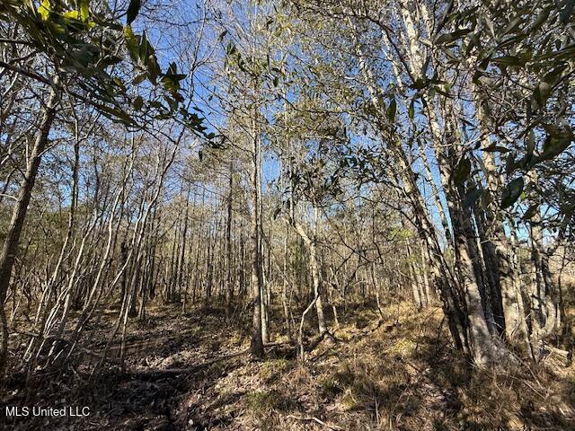 John Smith Rd Mount Mount Hermon, LA 70450 - Photo 26 of 36 IMG_2358