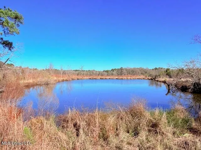 $289,000 | John Smith Rd Mount, Mount Hermon, LA 70450