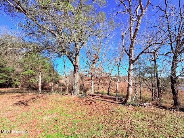 John Smith Rd Mount Mount Hermon, LA 70450 - Photo 30 of 36 IMG_2363