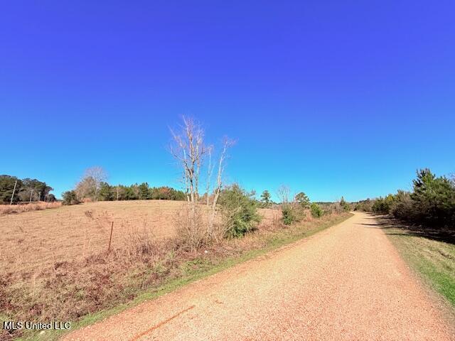 John Smith Rd Mount Mount Hermon, LA 70450 - Photo 3 of 36 IMG_2330