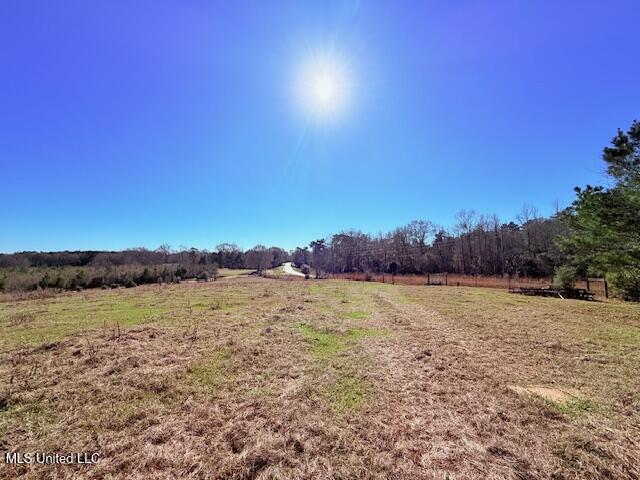 John Smith Rd Mount Mount Hermon, LA 70450 - Photo 31 of 36 IMG_2365